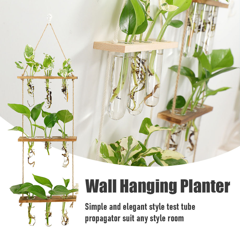 Wall-mounted Wall Hydroponic Glass Test Tube Vase