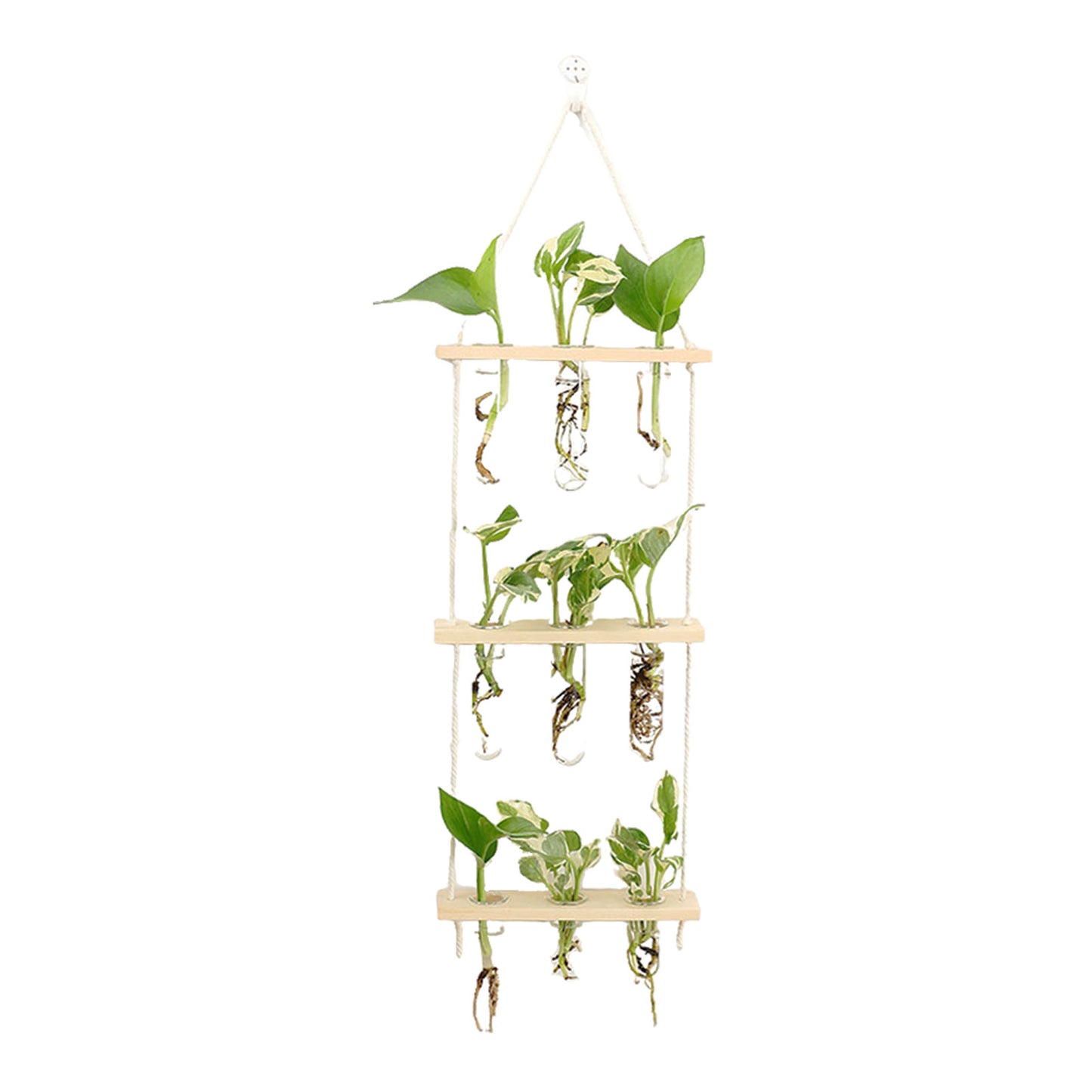 Wall-mounted Wall Hydroponic Glass Test Tube Vase